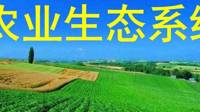 合作社品牌注册优先权怎么用