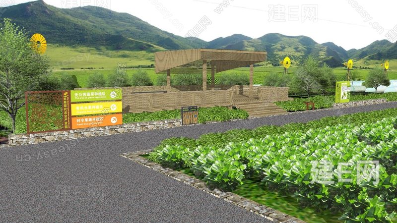 冬季大棚蔬菜种植技术要点解析