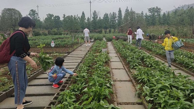 农资批发资质审核：标准解读与合规要点**