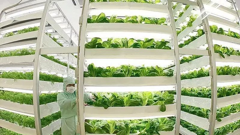 农产品批发代理利润如何计算？揭秘利润公式背后的关键因素**