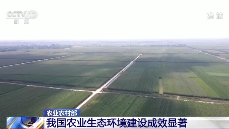 蓝莓种植厂家推荐哪家好