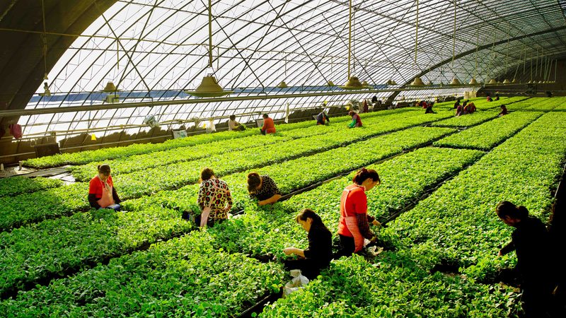 生鲜配送小程序：功能模块解析与开发报价揭秘