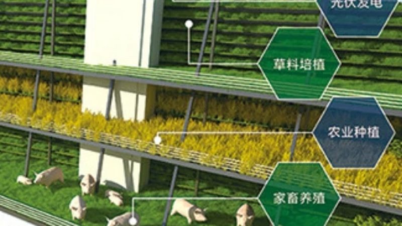 山东农产品批发基地：联系渠道与选择要点