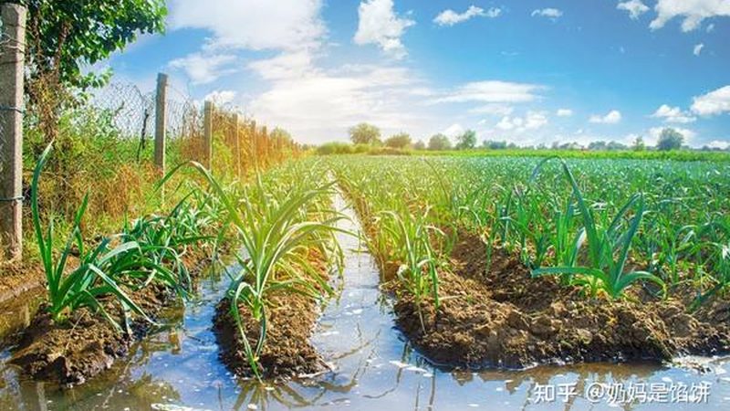 柑橘类：pH值5.5-6.5