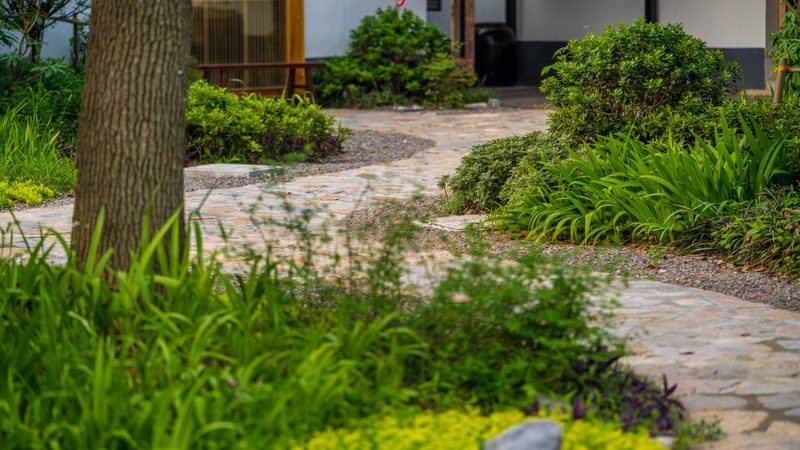 生态农业模式：种植技术标准的探索与实践**