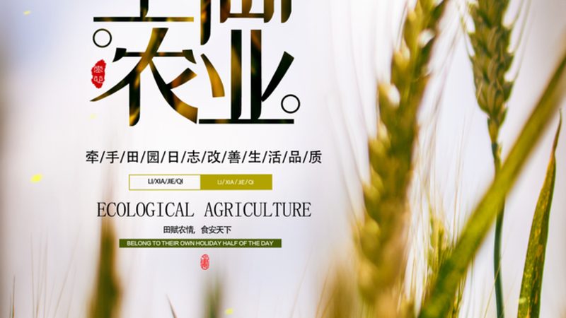 新手种植水果支架搭建技巧：稳固与高效的秘密